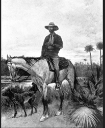 An image of a cowboy on a horse.