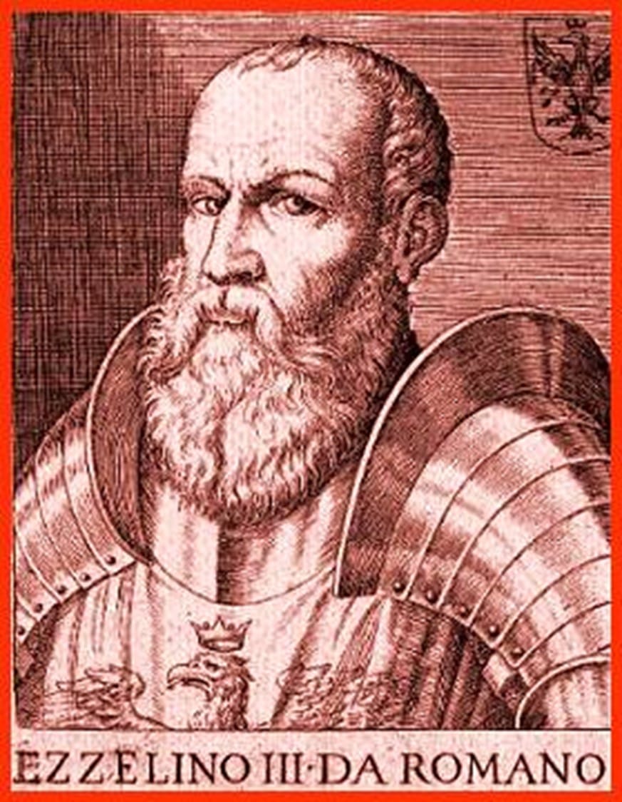 Image of a bearded man, a medieval knight in armor