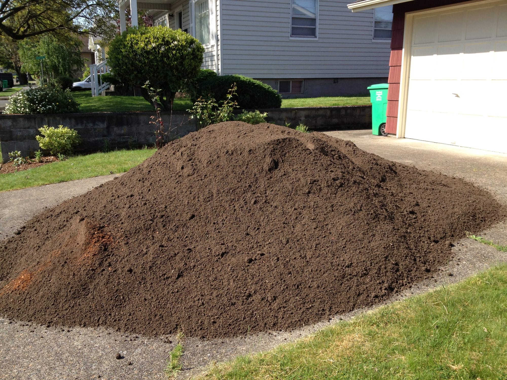 A photograph of a mound of dirt on a suburban driveway