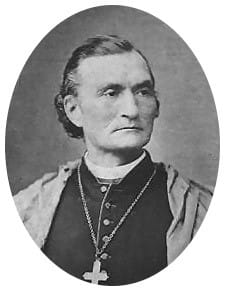 Photo of a priest in clerical robes and collar, with a cross necklace.