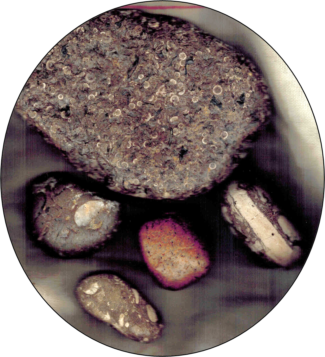 The Oldest Thing in the Room