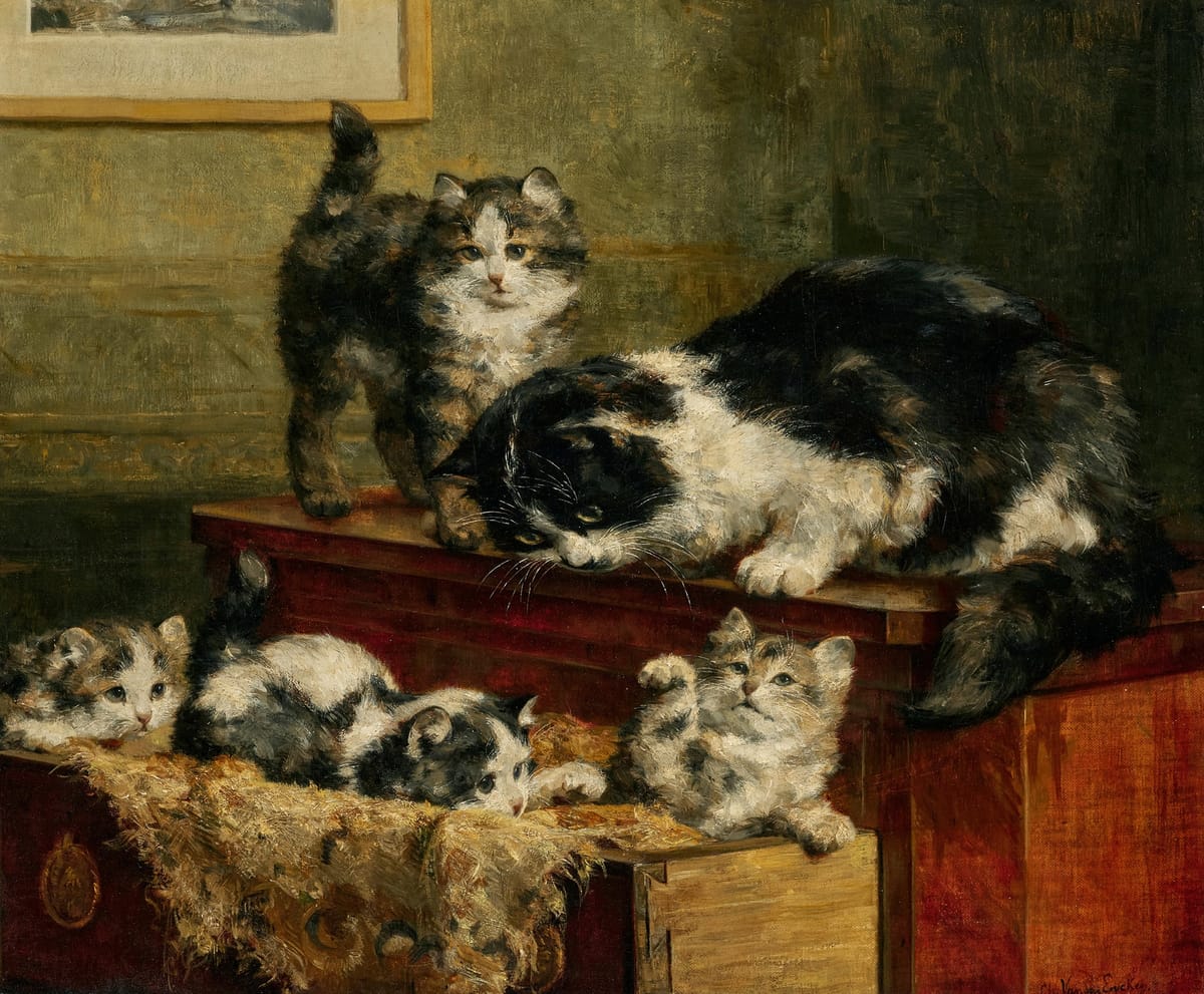 Crazy Cat Lady: Nine Lives of a Stereotype