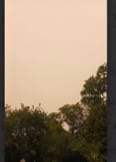 A Dumpster Fire in the Sky