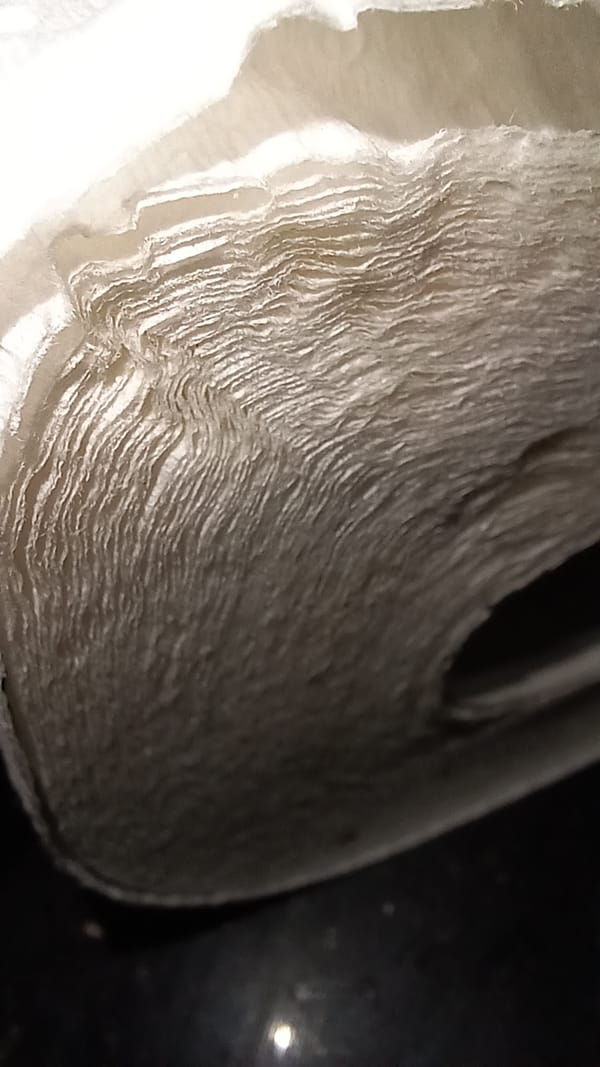 A photograph of the end of a roll of paper towels.