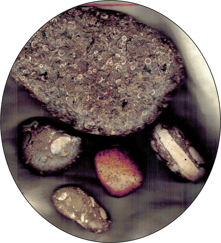 The Oldest Thing in the Room