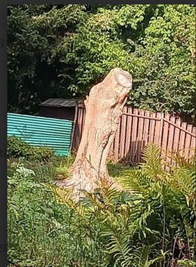 A photograph of the tall stump of a tree in a suburban backyard.
